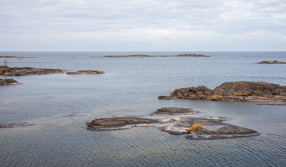 vänern fiske