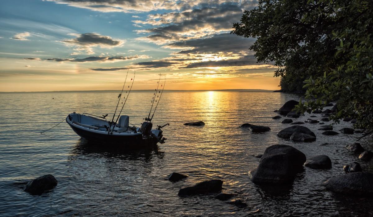fiska i vättern