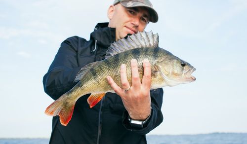 Fiska Abborre - Guide för abborrefisket