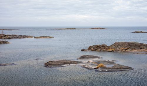 Fiska i Vänern: Den ultimata guiden till Sveriges största insjö