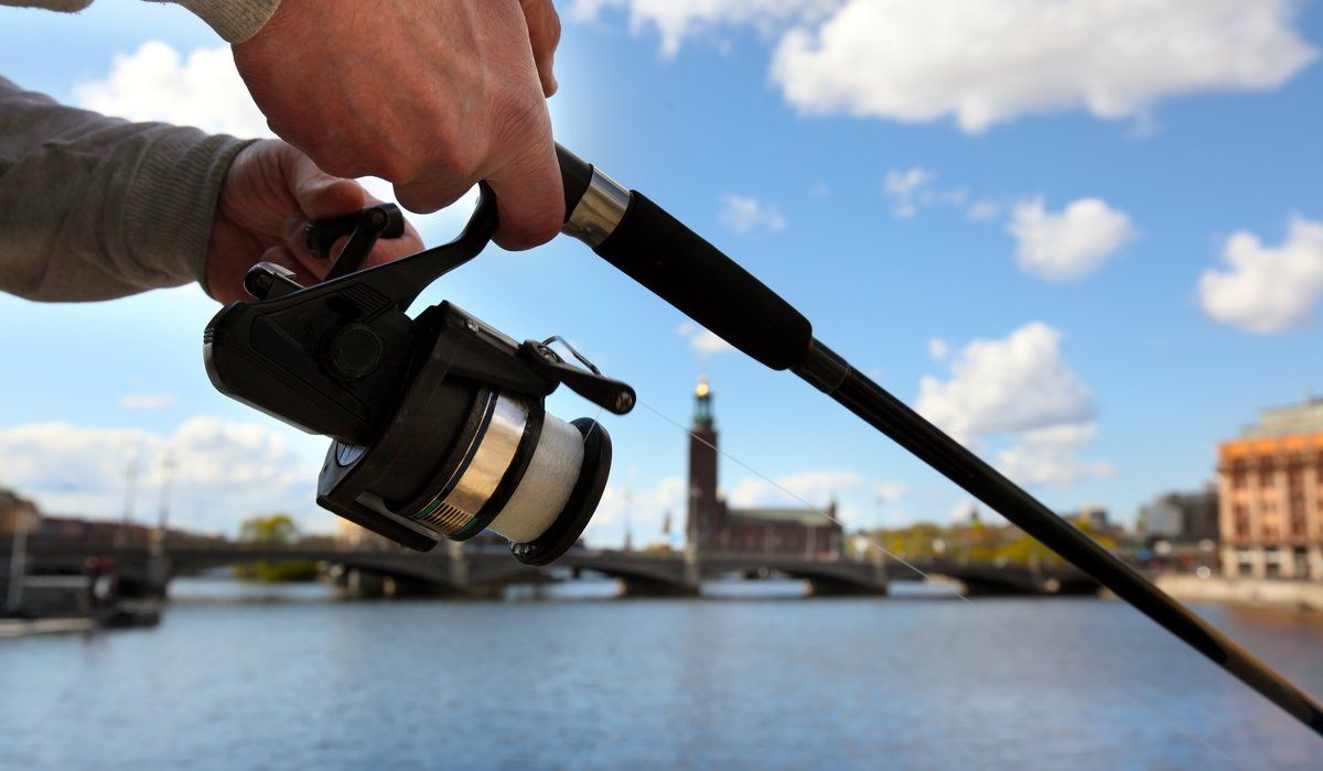 fiske i stockholm city
