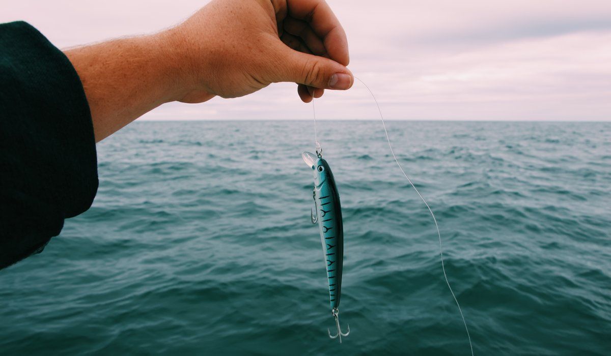 fiskedrag med start fiskeknut