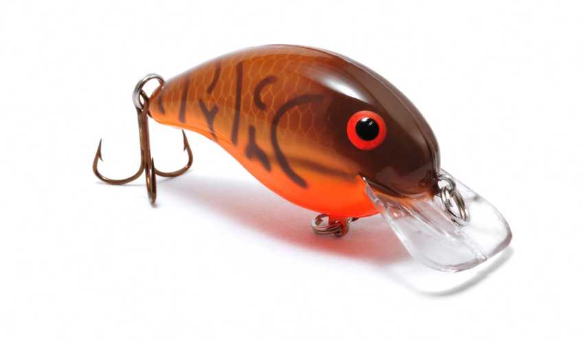 crankbait