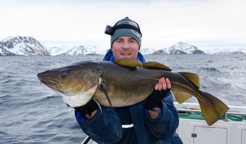 Bästa havsfiskespöt för båtfiske - Bäst i Test