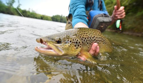 Fiska i Värmland: Fiskeplatser du inte vill missa!